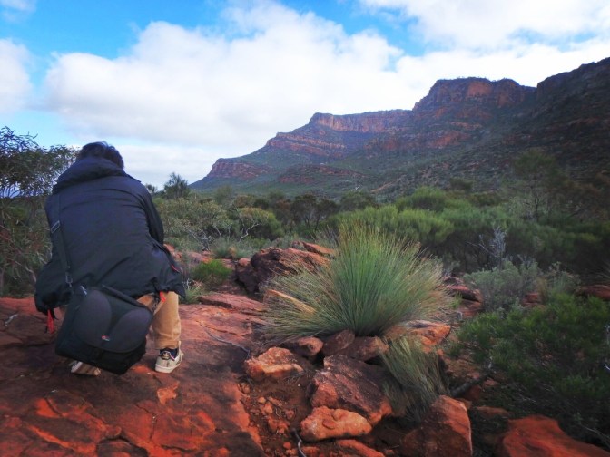 Photographer capturing Arkaroo Rock Flinders Ranges, South Australia