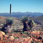 Roaming the Flinders Ranges: Wilpena Pound to Blinman