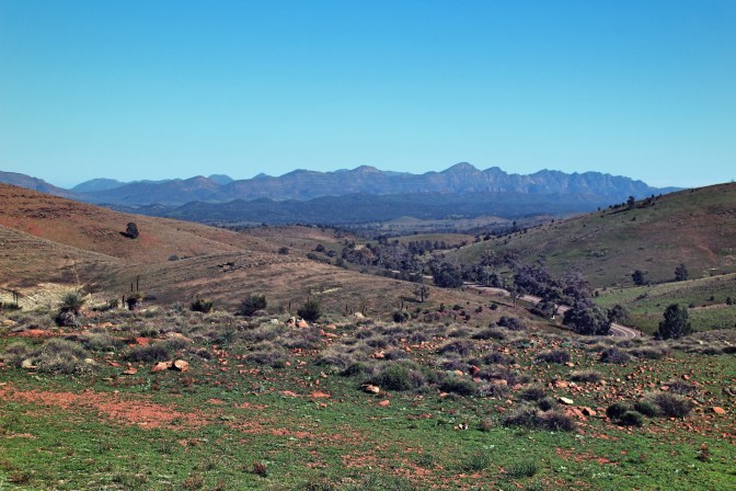 Flinders Ranges views