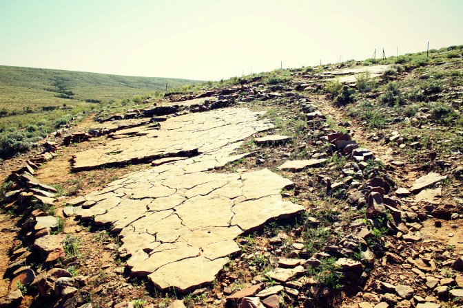Fossil beds at Nilpena Station, South Australia