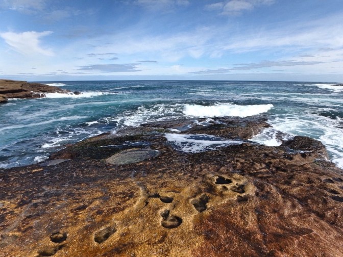 Rockpools at Talia Caves, Eyre Peninsula, South Australia