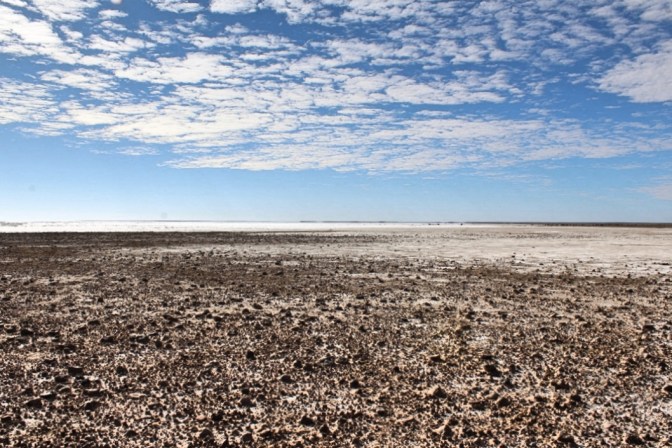 Dry river bed, Lake Eyre South, South Australia