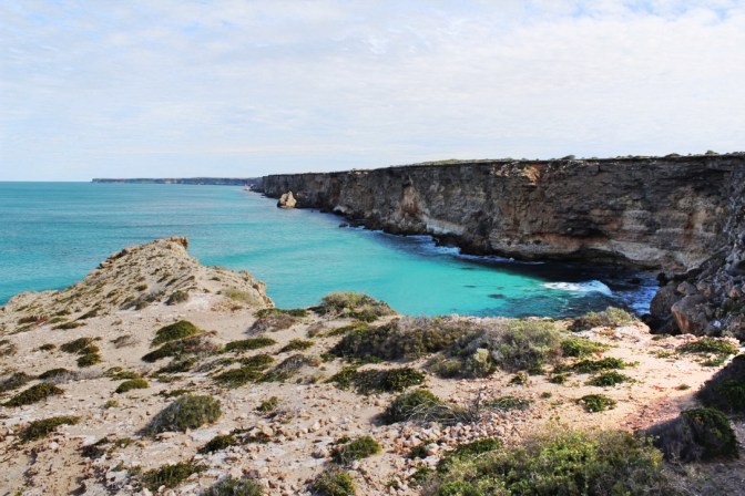 Head of the Bight, South Australia