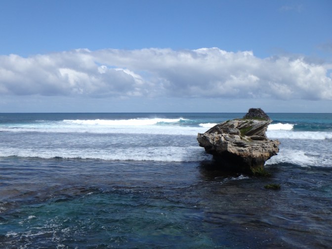 Osprey nest in water, Rottnest Island Western Australia