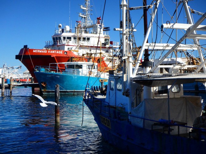 Trawler, Fremantle marina, Perth Western Australia