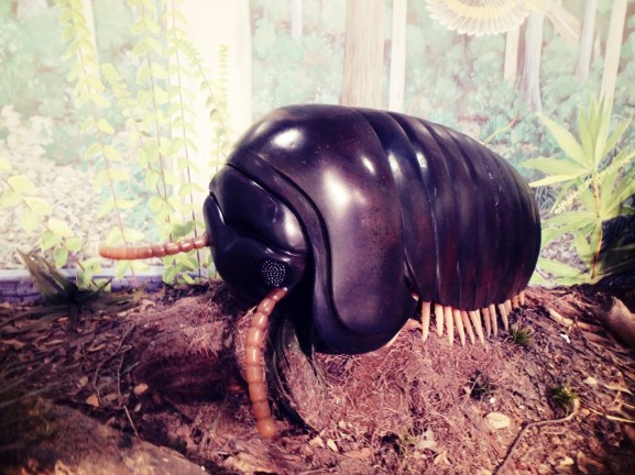 Giant bug, Valley of the Giants, Walpole Western Australia