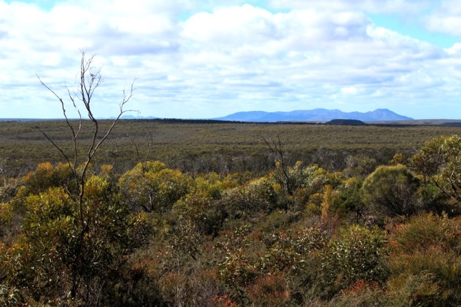 Barren Mountain range, Fitzgerald National Park, Western Australia