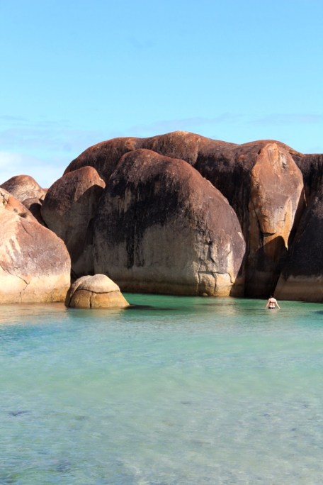 Crab, Elephant Rocks, Denmark Western Australia