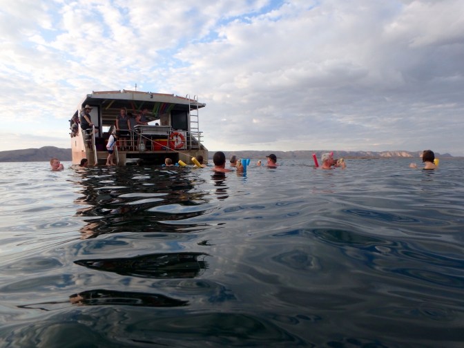 Swimming in Lake Argyle, Western Australia