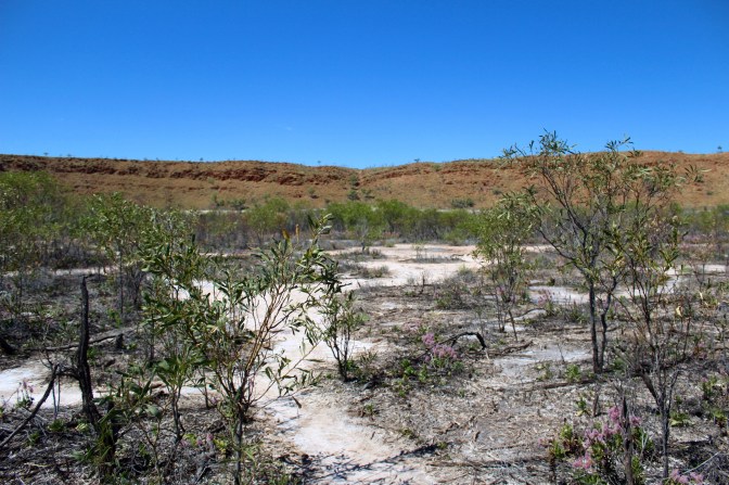 Bottom of Wolfe Creek Meteorite crater, Western Australia