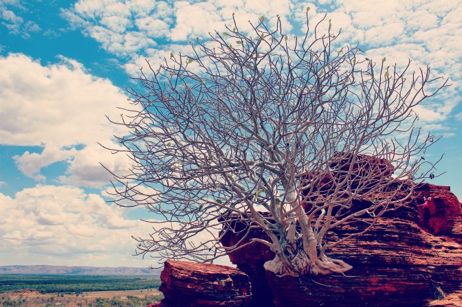 Kelly's Knob, Kununurra, Western Australia
