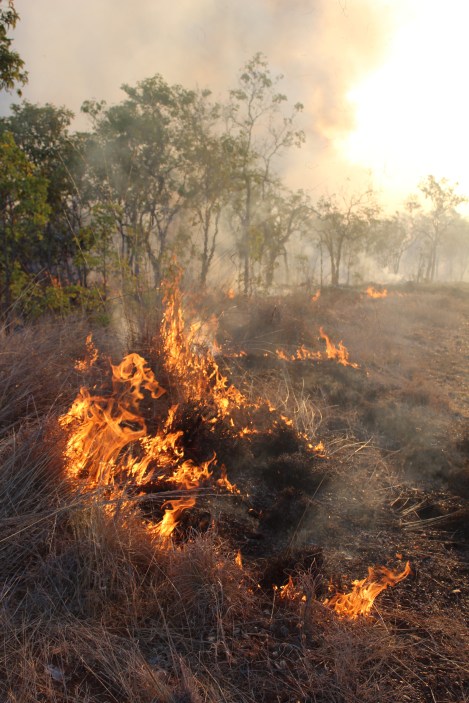 Bushfire, Katherine, Northern Territory