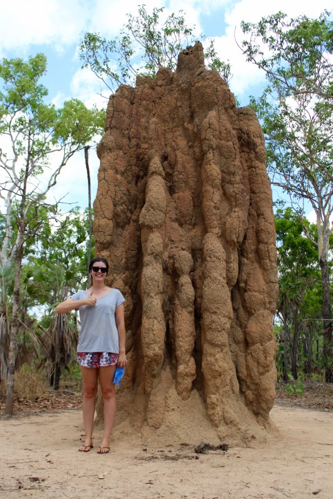 Giant termite mound, Litchfield National Park, Northern Territory