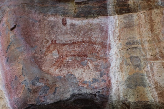 Thylacine rock art at Ubirr, Kakadu National Park, Northern Territory