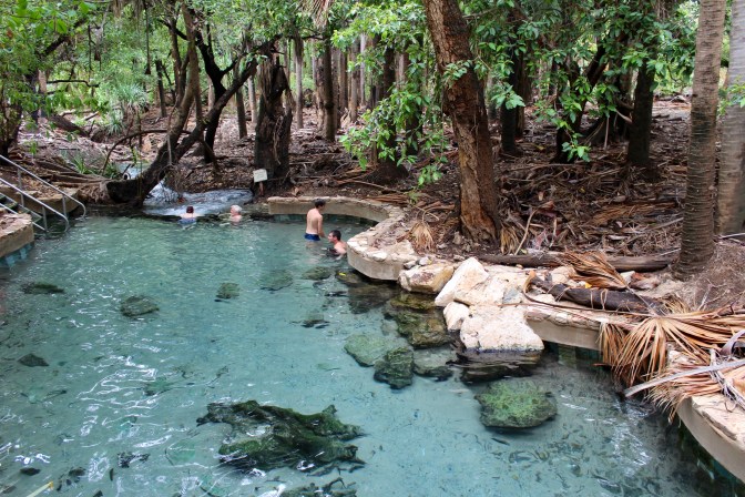Thermal pool Mantaranka Springs Northern Territory