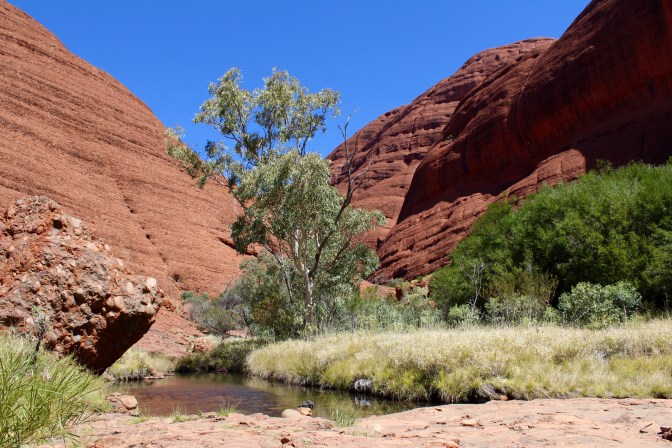 Water hole in Kata Tjuta Northern Territory