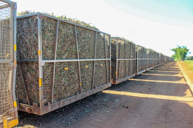 Cane train carriages, Atherton, Queensland