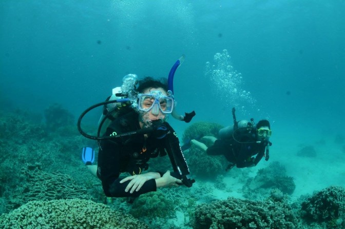 Divers underwater, Great Barrier Reef, Queensland