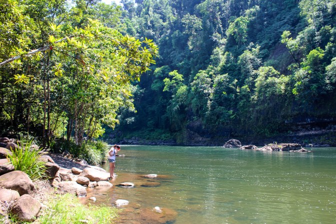Downstream Tully River, Queensland, Australia