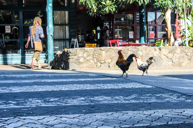 32081712713_79b6454acc_o