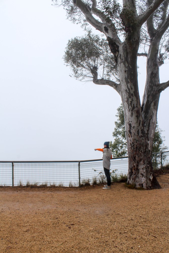 32081979303_7195c4f661_o