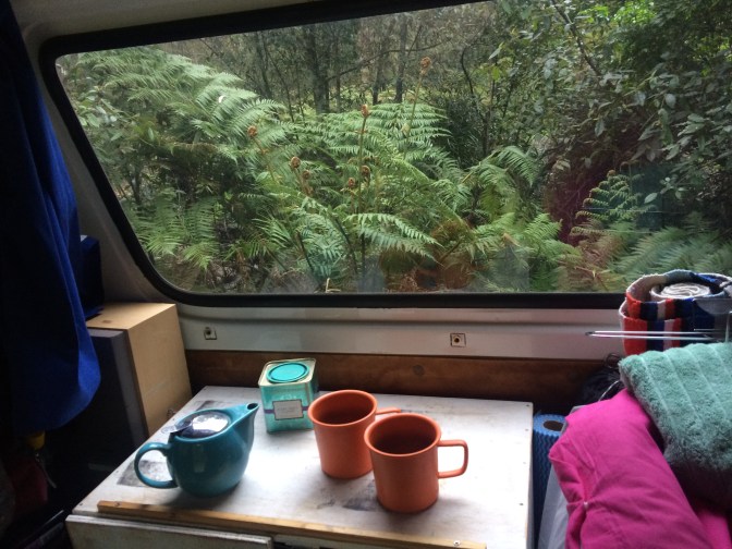 Tea in van interior, bushland, Australia